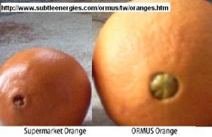 Naranjas tratadas con ORMUS.