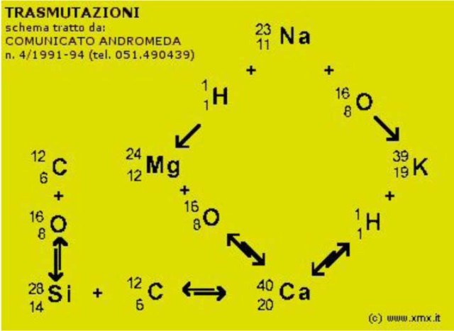 Cuadro de las transmutaciones biológicas con el ciclo Silicio --> Calcio.
